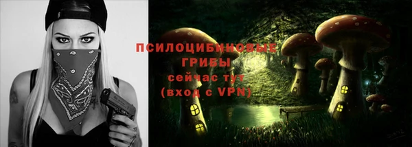 дмт Абинск