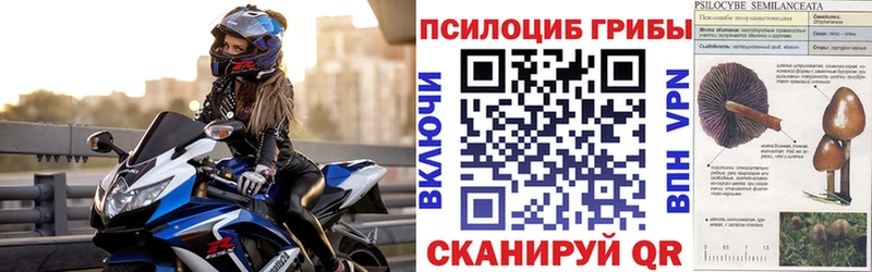 Галлюциногенные грибы мицелий  Сычёвка 