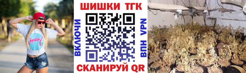 Бошки Шишки план  купить наркотик  Сычёвка 